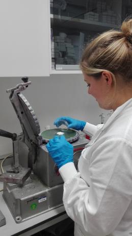 Making paint in the ‘Reconstruction lab’ of the Cultural Heritage Agency of The Netherlands (RCE)