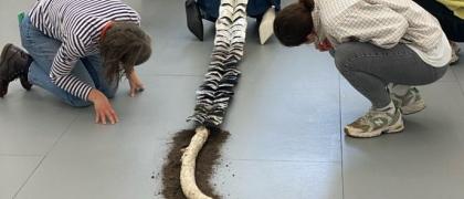 Studio Visit with the artist Anne Hardy