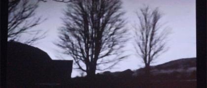 “Tree Movie”, Jackson Mac Low, at Museo Nacional Centro de Arte Reina Sofia (Madrid)